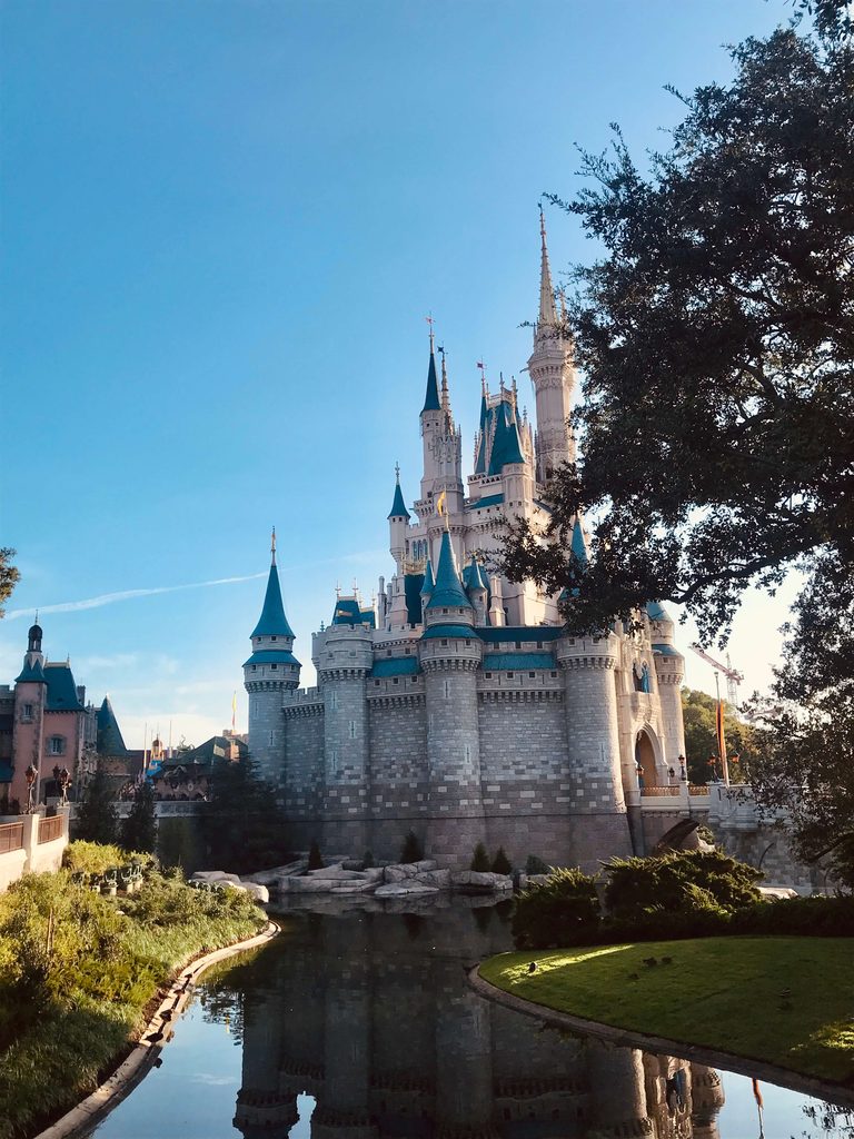 Disney Schloss Magic Kingdom Orlando - Florida
