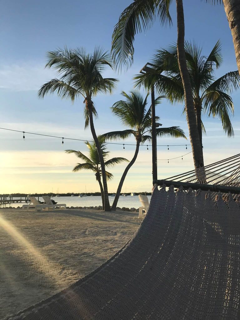Hängematte und Palmen auf Key Largo - Florida